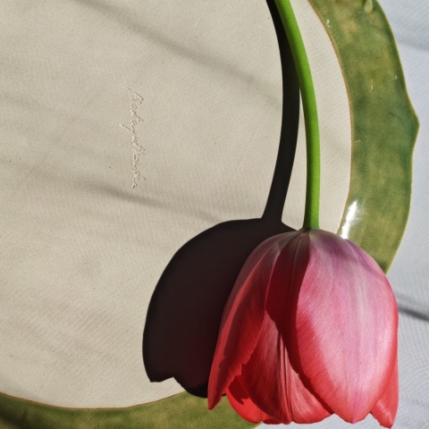 Patera Magnolie 2